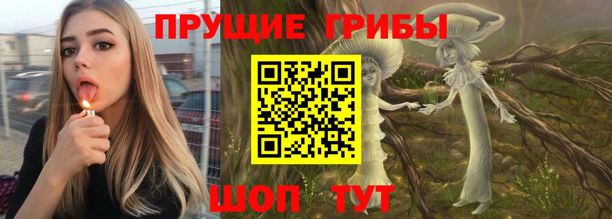 Алексеевка  Галлюциногенные грибы MAGIC MUSHROOMS  Вход с VPN 